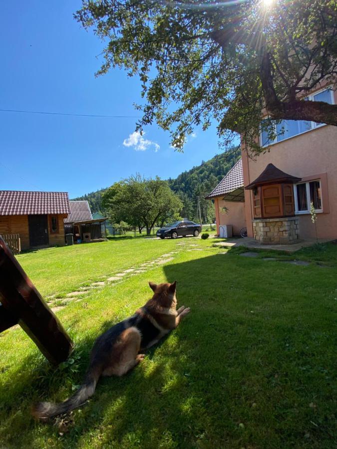 Chalet Зоряні ночі Микуличин Екстер'єр фото